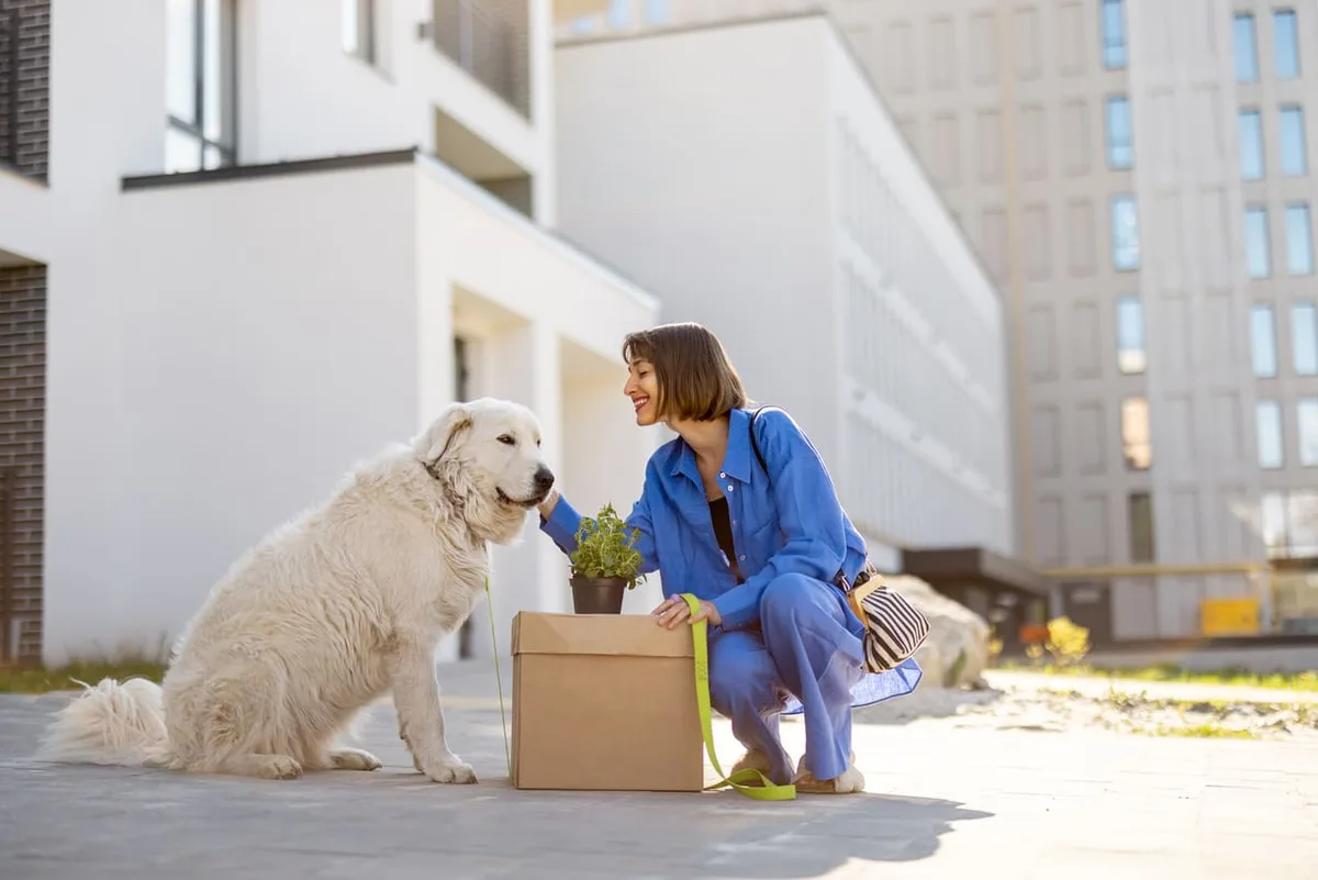 Affinity Moving crew