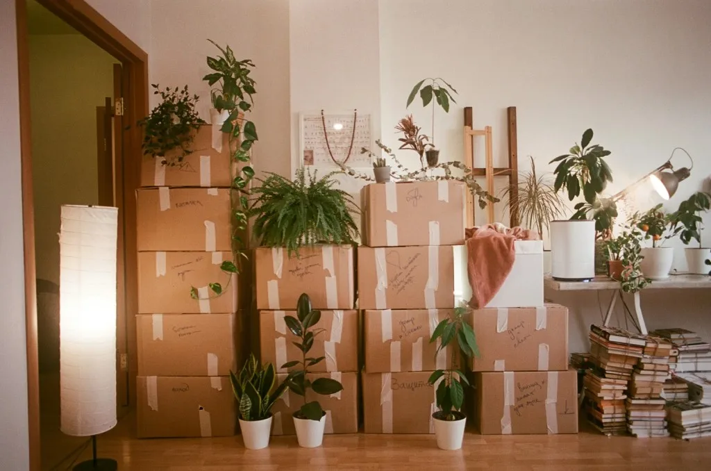Affinity Moving crew